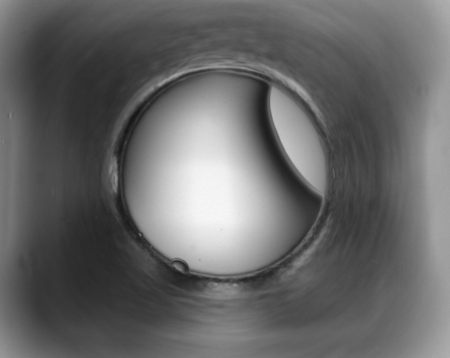 X0000088871509200706080710