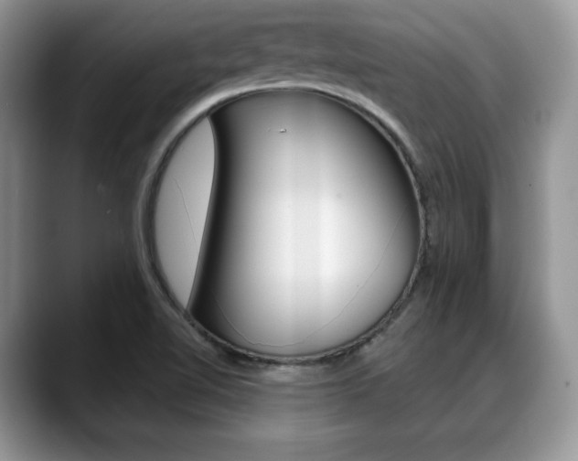 X0000088871510200706080710