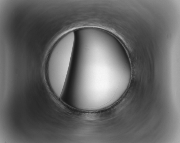 X0000088871511200706080710