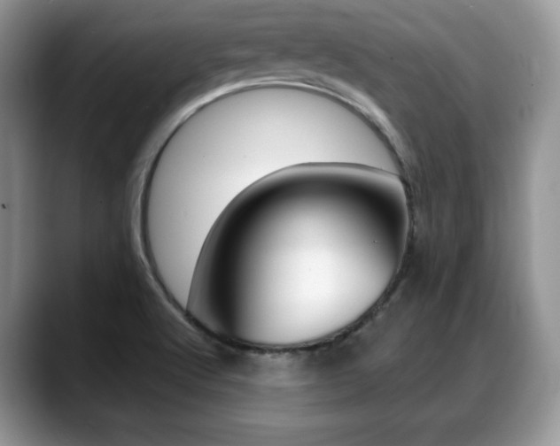 X0000088871512200706080710