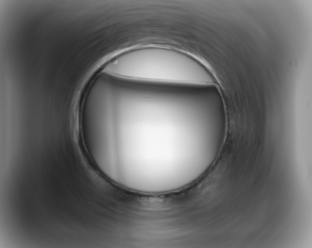 X0000088871515200706080710
