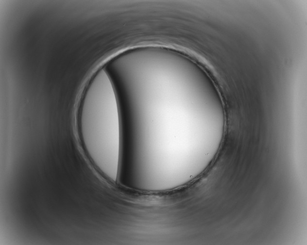 X0000088871517200706080710