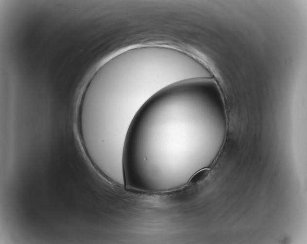 X0000088871520200706080711