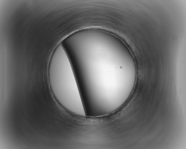 X0000088871521200706080711