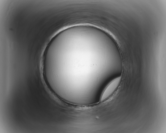 X0000088871526200706080711