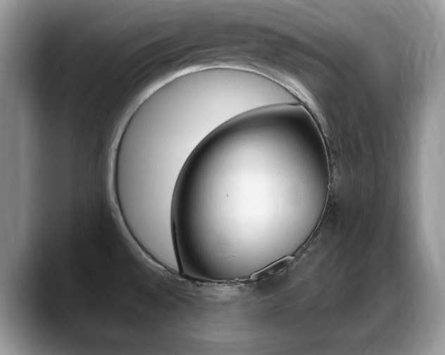 X0000088871528200706080711