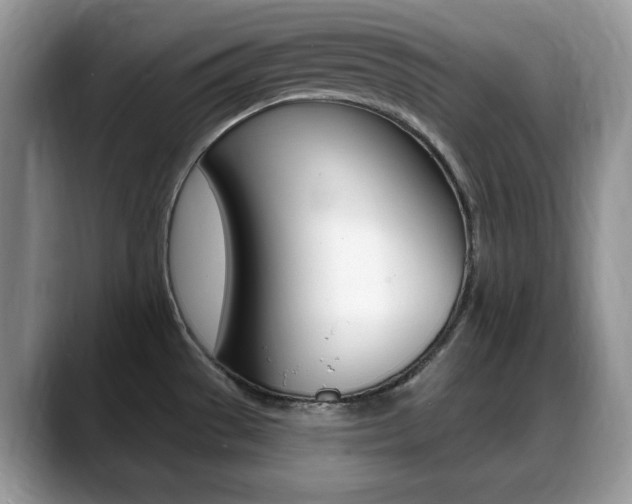X0000088871529200706080711