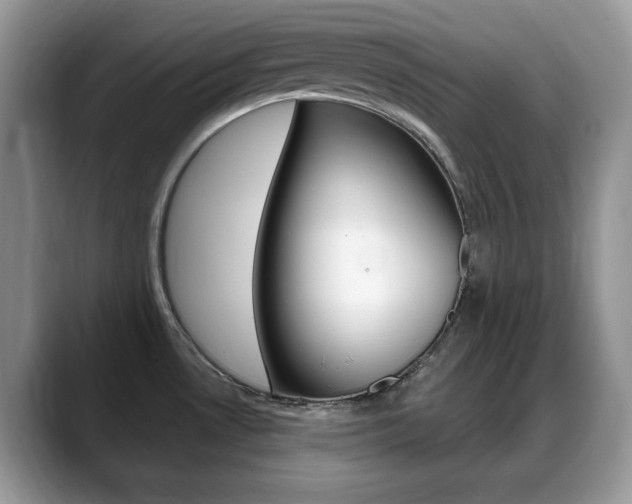 X0000088871530200706080711