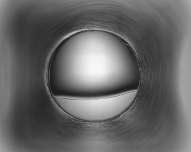 X0000088871531200706080711