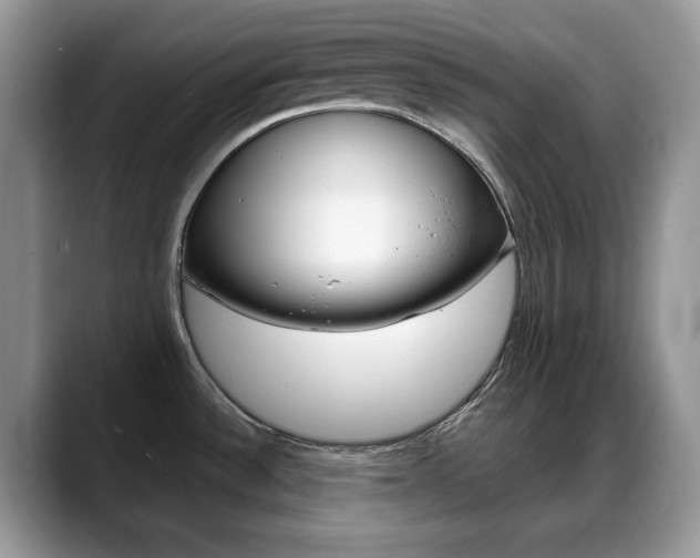 X0000088871532200706080711