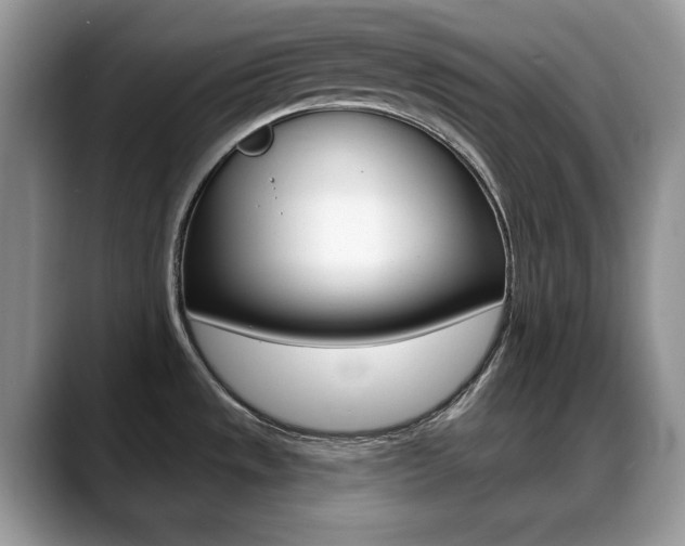X0000088871533200706080711