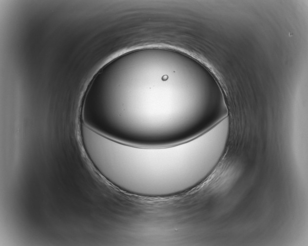 X0000088871534200706080711