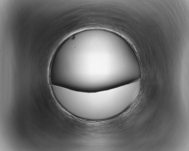 X0000088871535200706080711