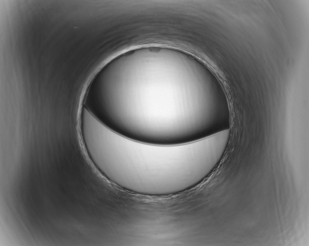 X0000088871536200706080711