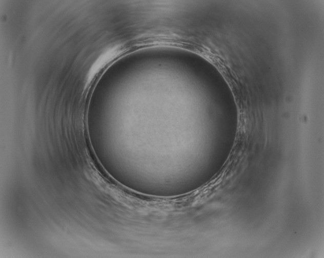 X0000088870004200706081227