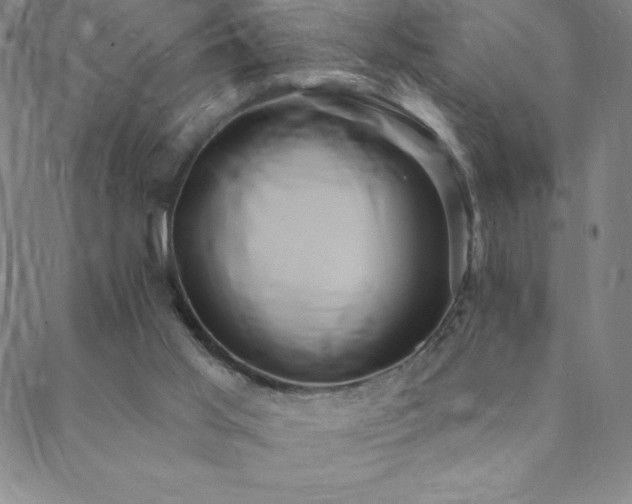 X0000088870013200706081227