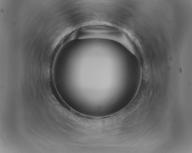 X0000088870015200706081227