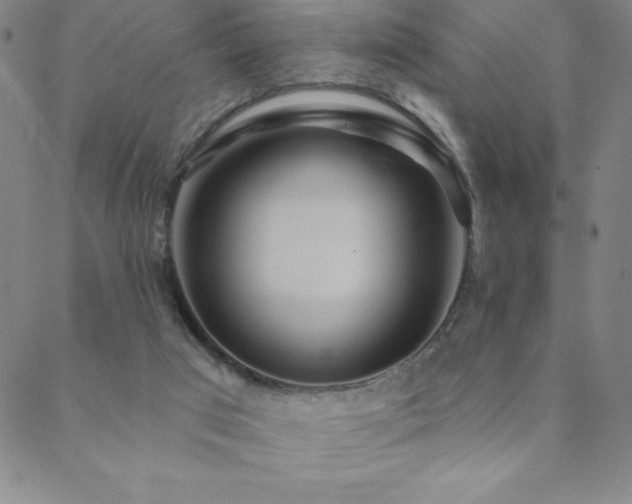 X0000088870017200706081227