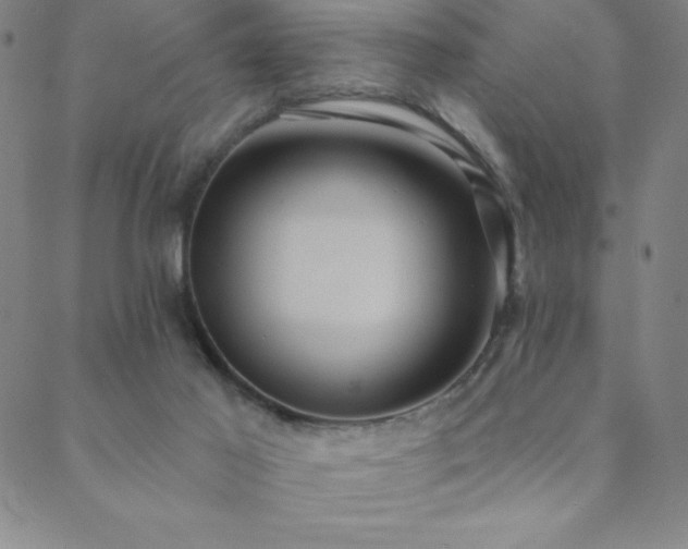 X0000088870021200706081227
