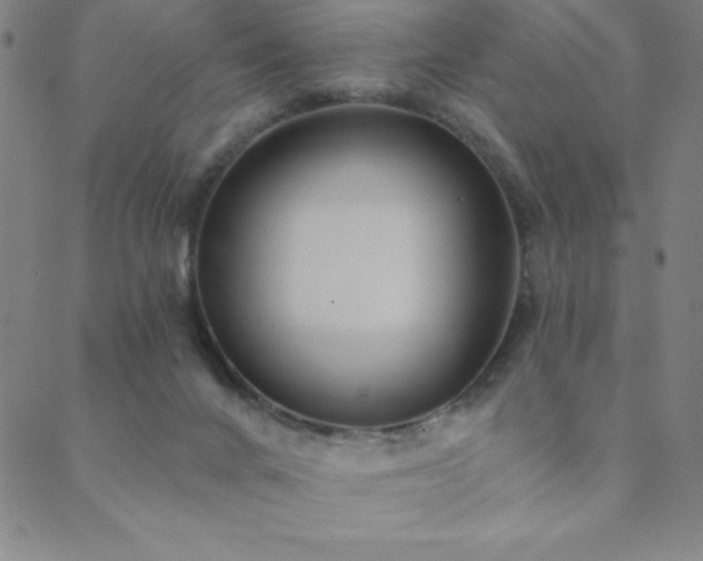 X0000088870024200706081227