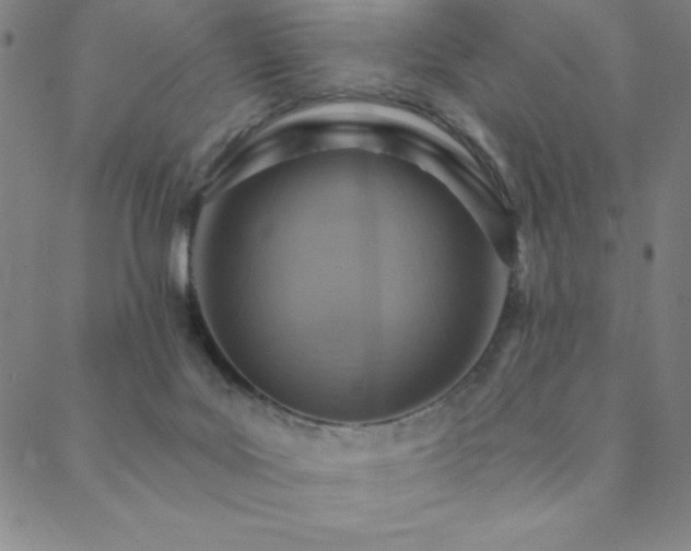X0000088870027200706081227