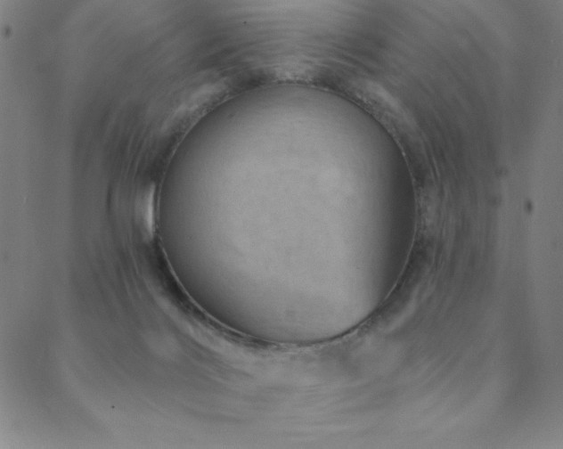 X0000088870028200706081227