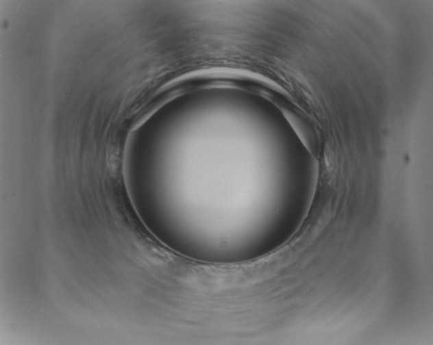 X0000088870033200706081226