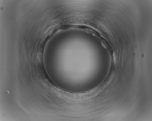 X0000088870035200706081226