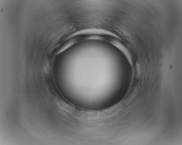 X0000088870037200706081226