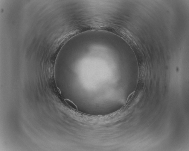 X0000088870043200706081226