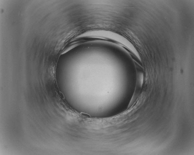 X0000088870045200706081226