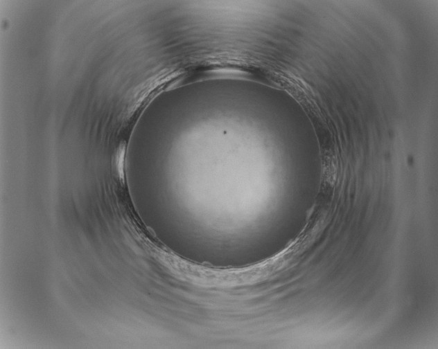 X0000088870047200706081226