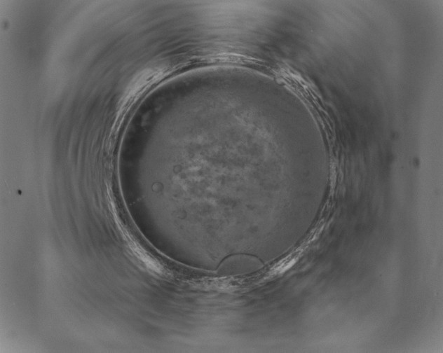 X0000088870049200706081225