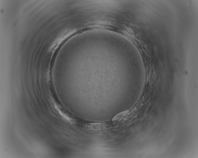 X0000088870050200706081225