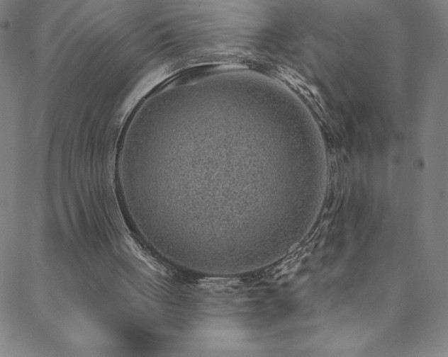 X0000088870051200706081225