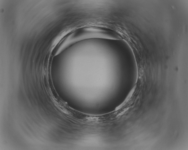 X0000088870052200706081226