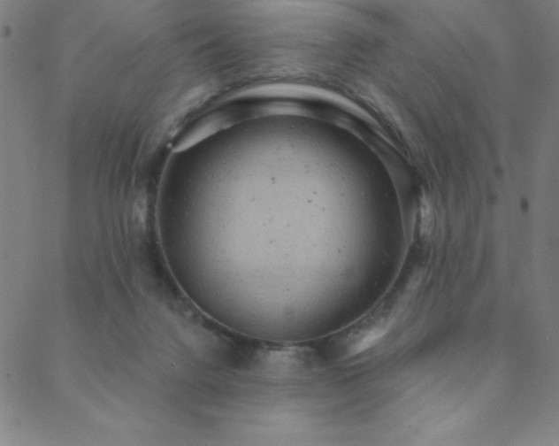 X0000088870072200706081226