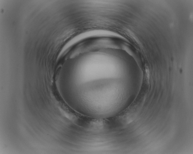 X0000088870076200706081226