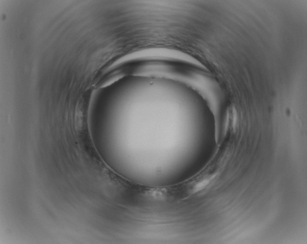 X0000088870080200706081226