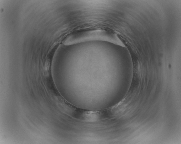 X0000088870082200706081226