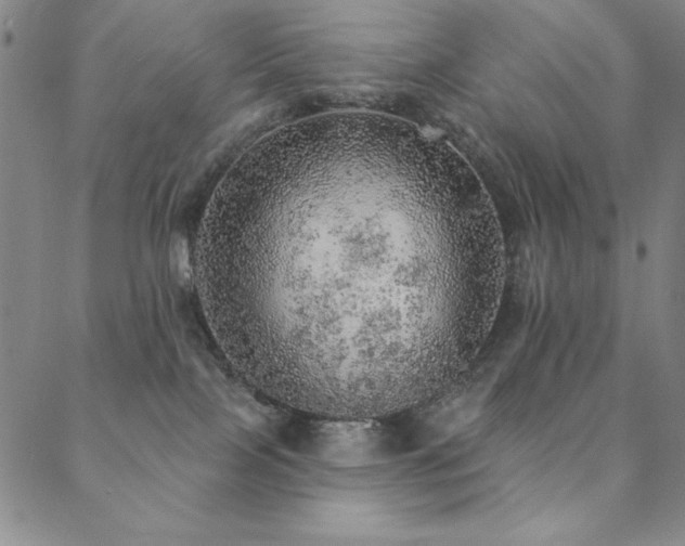 X0000088870089200706081226