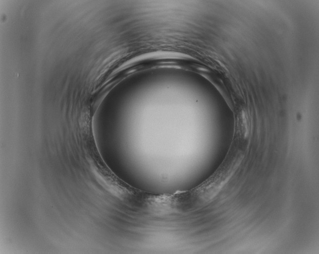 X0000088870092200706081226