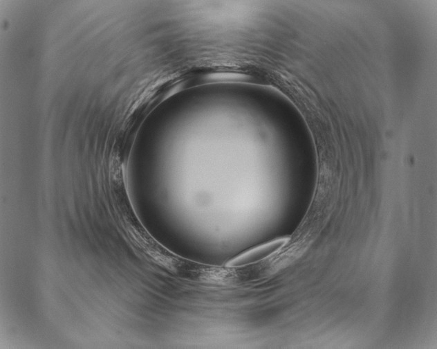 X0000088870096200706081226