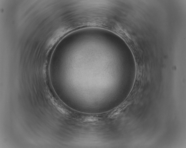 X0000088870098200706081225