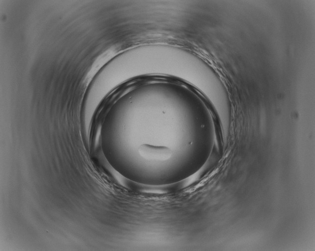 X0000088870099200706081225