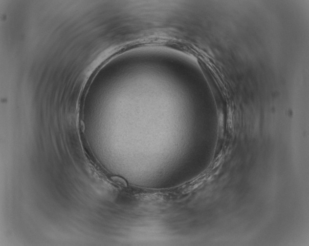 X0000088870100200706081225