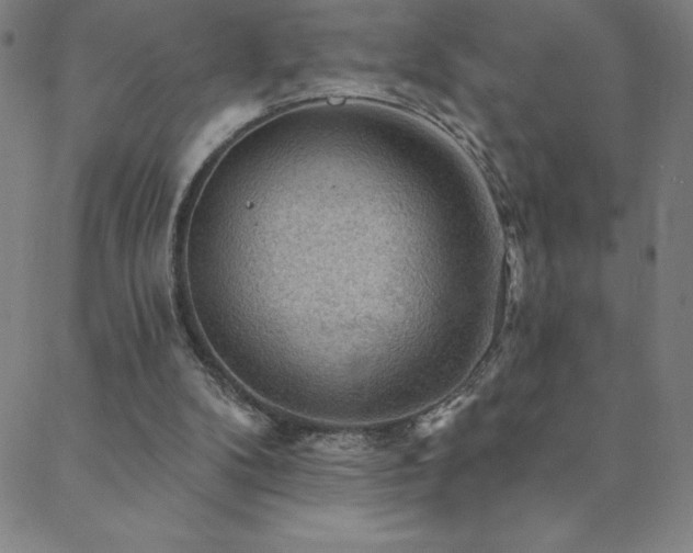X0000088870104200706081225
