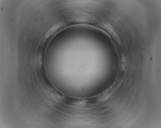 X0000088870116200706081225