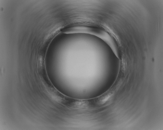 X0000088870117200706081225