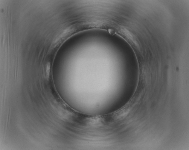 X0000088870118200706081225